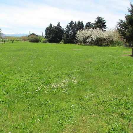 La Rocade Памье