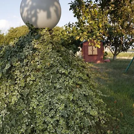 Отель La Rocade